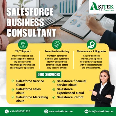 SALESFORE BUSINESS CONSULTANT