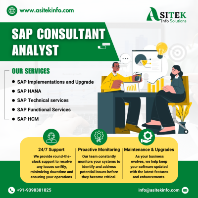 SAP CONSULTANT ANALYST