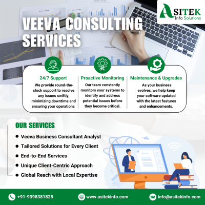 VEEVA CONSULTING SERVICES